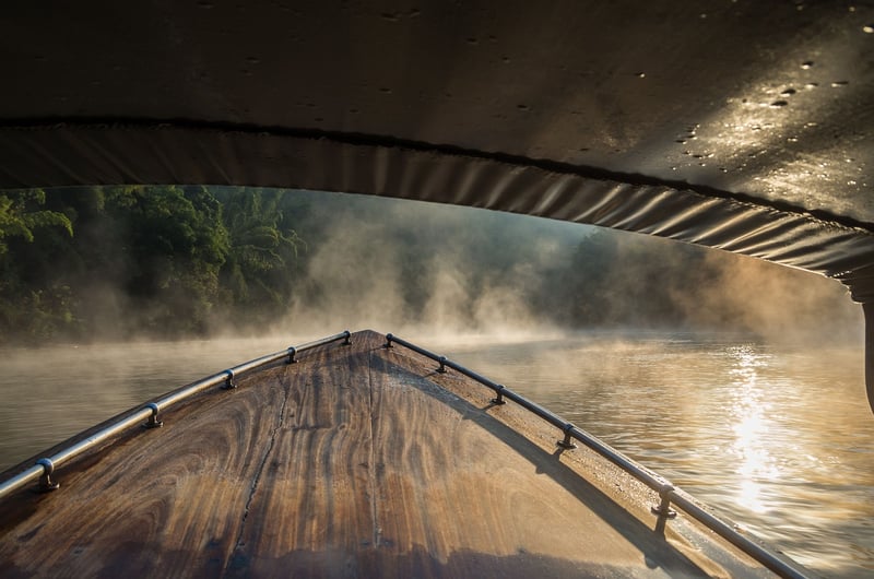 Jungle River